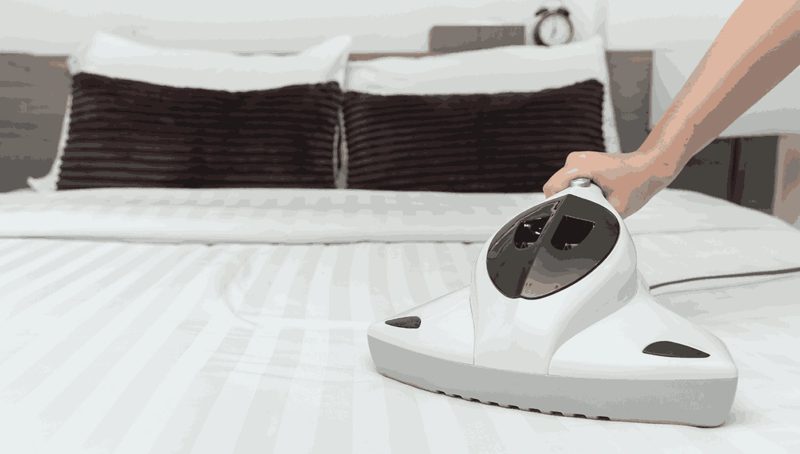 Professional Mattress Cleaning Chelsea